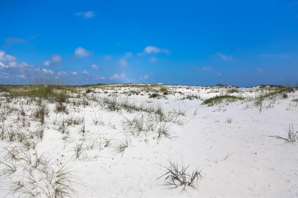 Shell Island Excursions Grayton Beach Florida